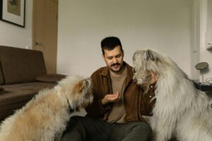 A man sits with two fluffy dogs, interacting and feeding them indoors.